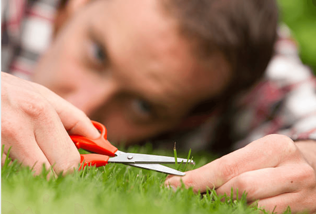 Obsessive Compulsive Behaviors (OCD) As A Defense Mechanism