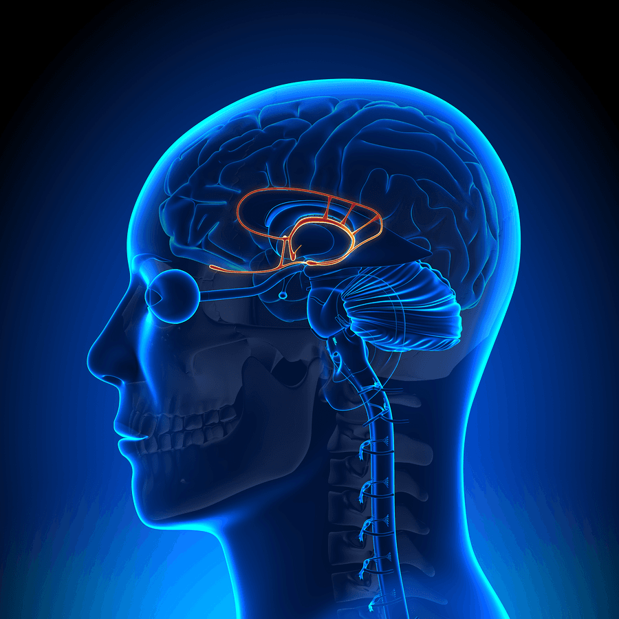 THE EMOTIONAL BRAIN, THE AMYGDALA AND PROCESSING EARLY WOUNDS